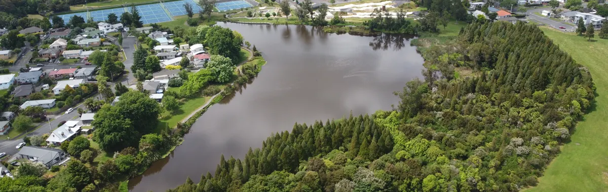 Aerial perspective of a lake surrounded by trees and residential houses in Hamilton, New Zealand.