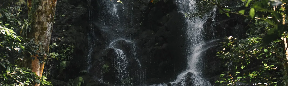 קוסטה ריקה: A serene waterfall cascades through dense forest greenery in Guanacaste, Costa Rica.