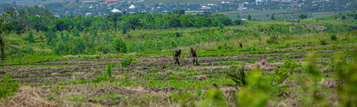 בורונדי: Farmers working in lush green fields near Bujumbura, Burundi, showcasing rural agriculture.