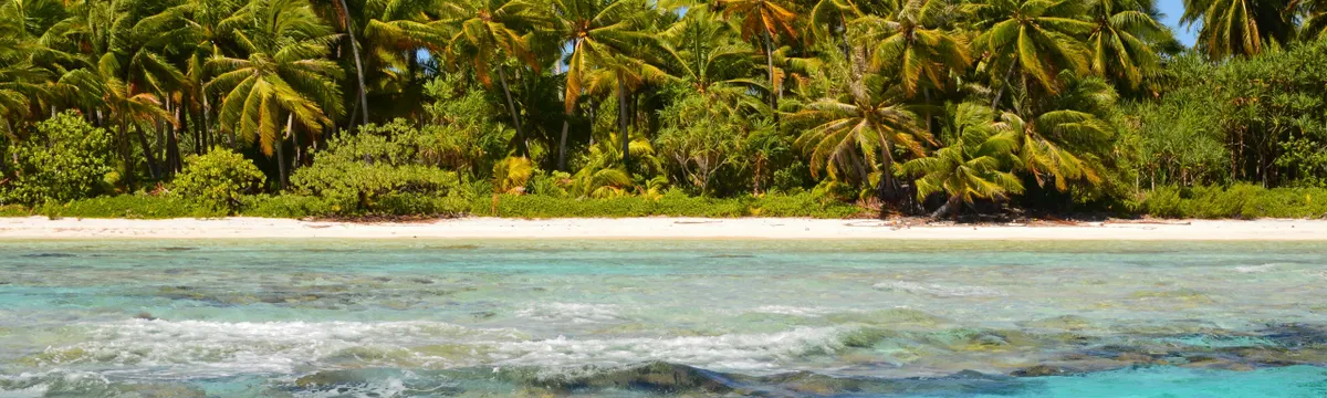 פולינזיה הצרפתית: Explore the pristine tropical beach in French Polynesia with turquoise waters and coconut palms.