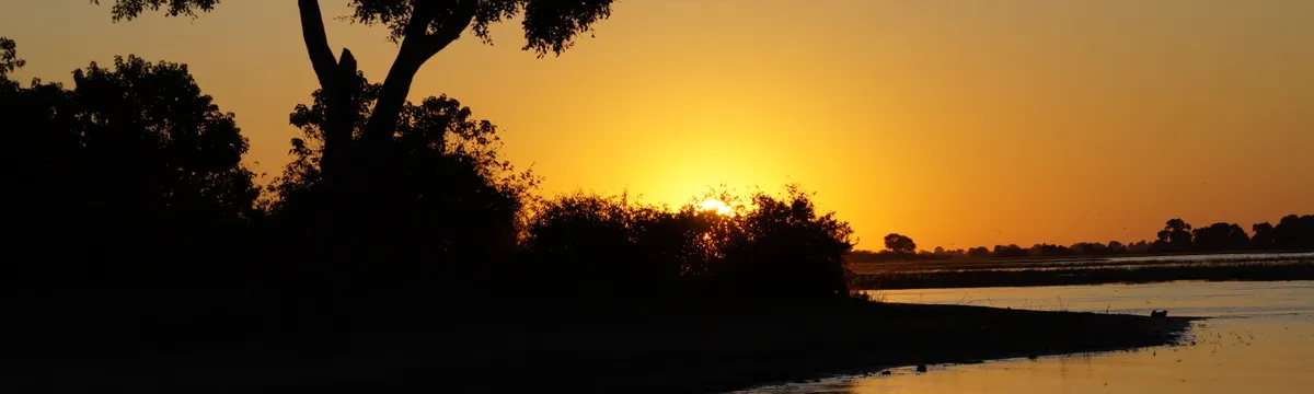 בוטסואנה: Captivating sunset over a tranquil waterside in Nunga, Botswana, with silhouetted trees.