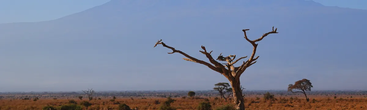 קניה: Scenic view of barren landscapes of Kajiado County, Kenya with Mount Kilimanjaro.