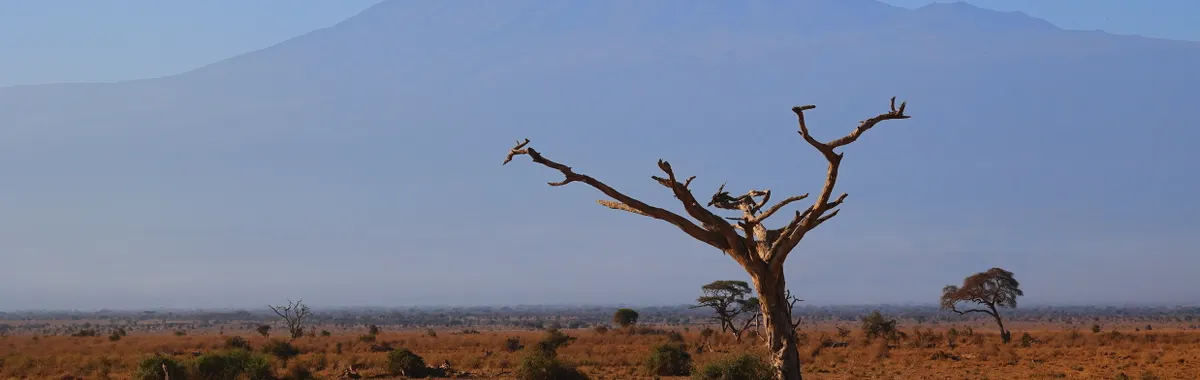 קניה: Scenic view of barren landscapes of Kajiado County, Kenya with Mount Kilimanjaro.