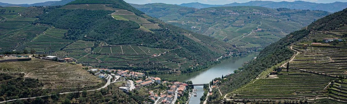 פורטוגל: Scenic aerial view of Douro Valley vineyards and river, Portugal's wine region.