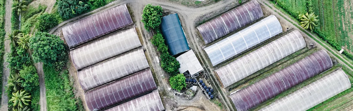 Aerial photograph of greenhouses and fields in Vanard, Castries, Saint Lucia.