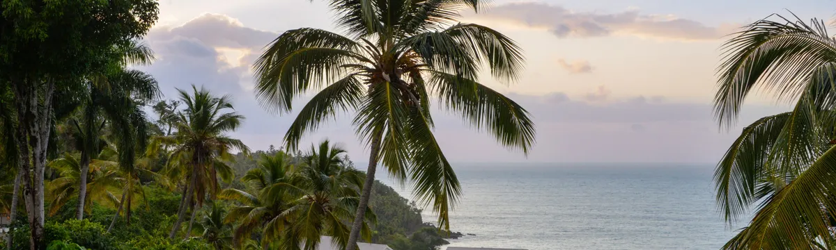 הרפובליקה הדומיניקנית: Lush palm trees overlook the ocean in Samaná, Dominican Republic, during a peaceful sunset.