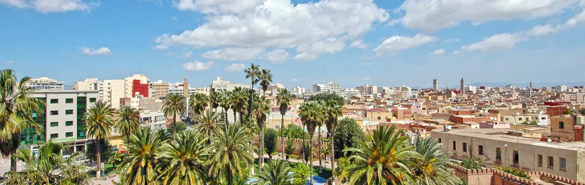 Scenic view of Oujda cityscape with palm trees and historic architecture.