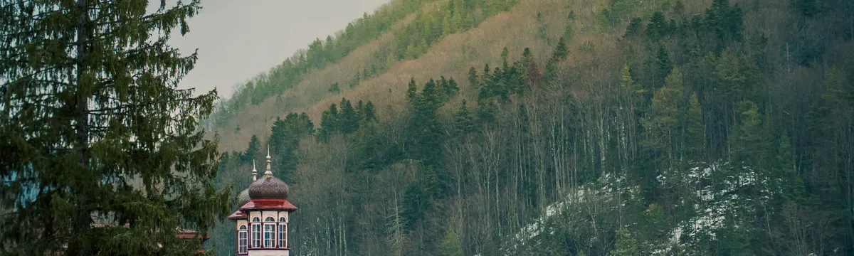 רומניה: Traditional Romanian building nestled amidst lush forested hills in Romania.