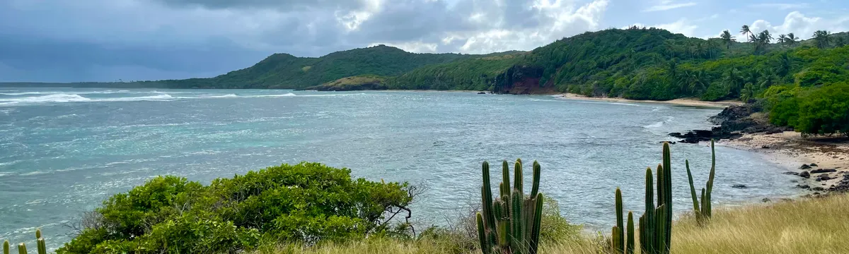 מרטיניק: Tranquil coastal landscape in Sainte-Anne, Martinique with cactus and lush greenery along the shoreline.