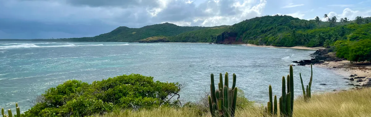 מרטיניק: Tranquil coastal landscape in Sainte-Anne, Martinique with cactus and lush greenery along the shoreline.