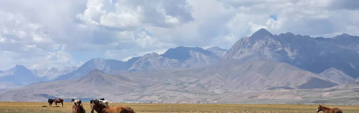 Horses roaming the scenic plains of Sary Mogul, Osh Region, against a mountainous backdrop.