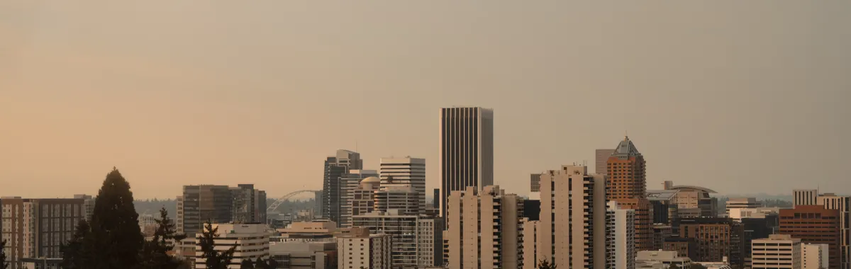 Captivating Portland skyline framed by trees at sunset, highlighting urban architecture.