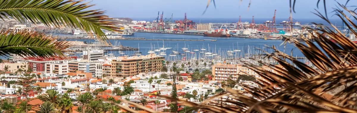 A picturesque view of Las Palmas de Gran Canaria harbor framed by palm fronds.