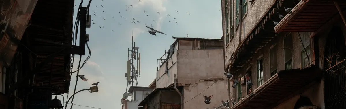 A bustling street in Old Damascus with flocks of pigeons and historic architecture.