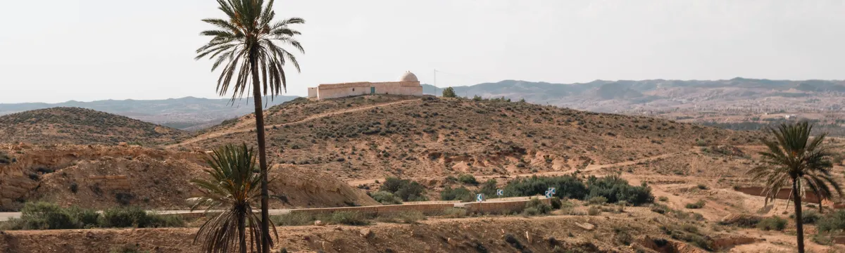 תוניסיה: Peaceful desert scene with palm trees and distant hills in Gabès Governorate, Tunisia.