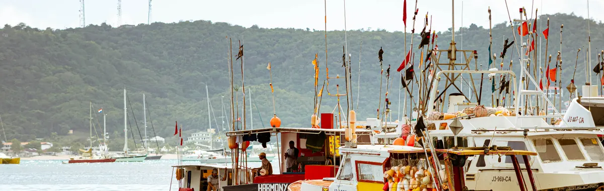 Colorful fishing boats docked in Saint George's, Grenada with lush green hills in the background.